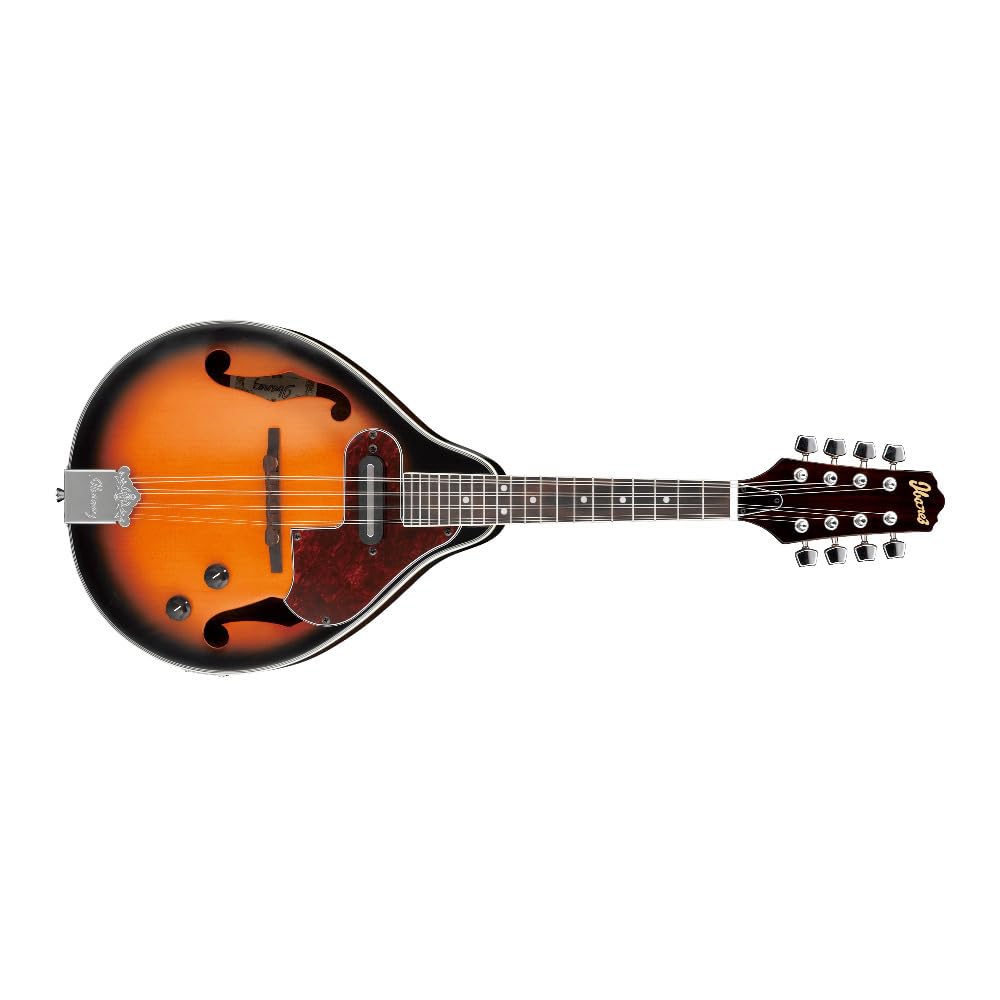 Acoustic-electric Mandolin H4019