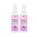 Diamond Painting Sealant Spray 4 Pack R4323