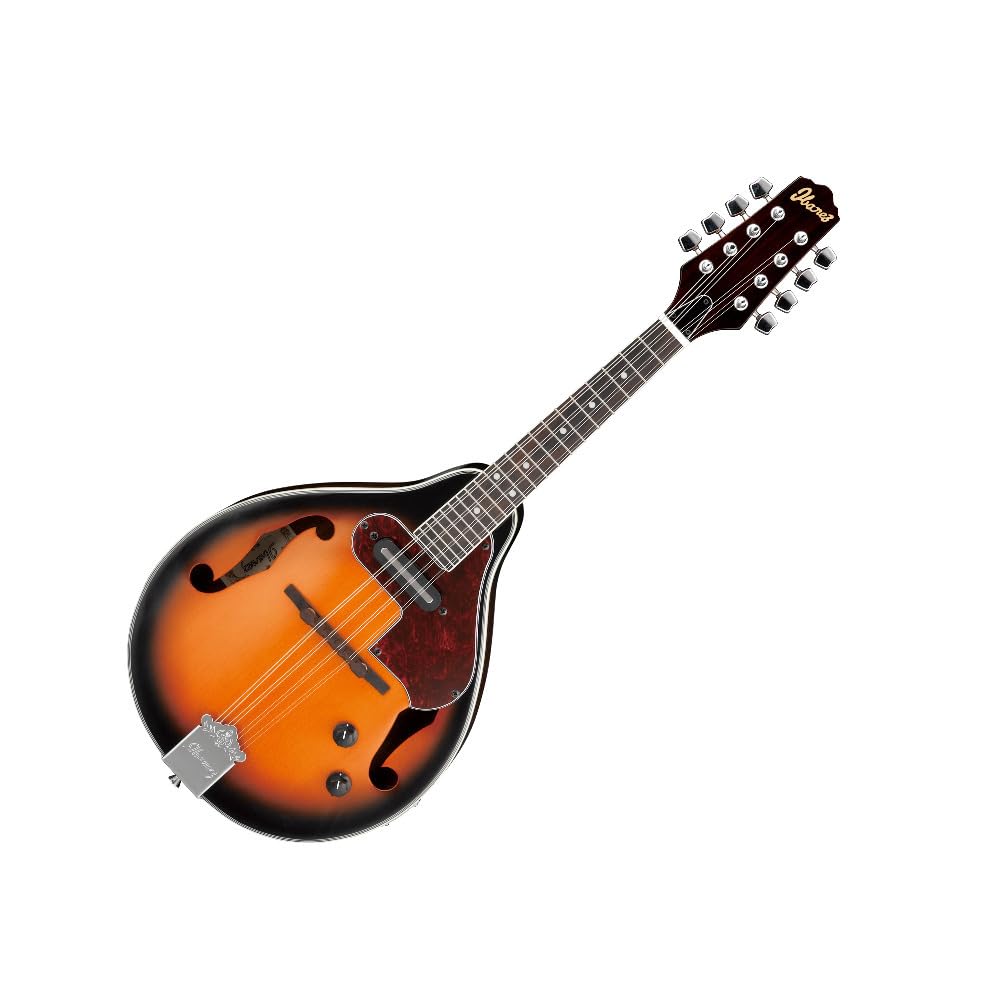 Acoustic-electric Mandolin H4019