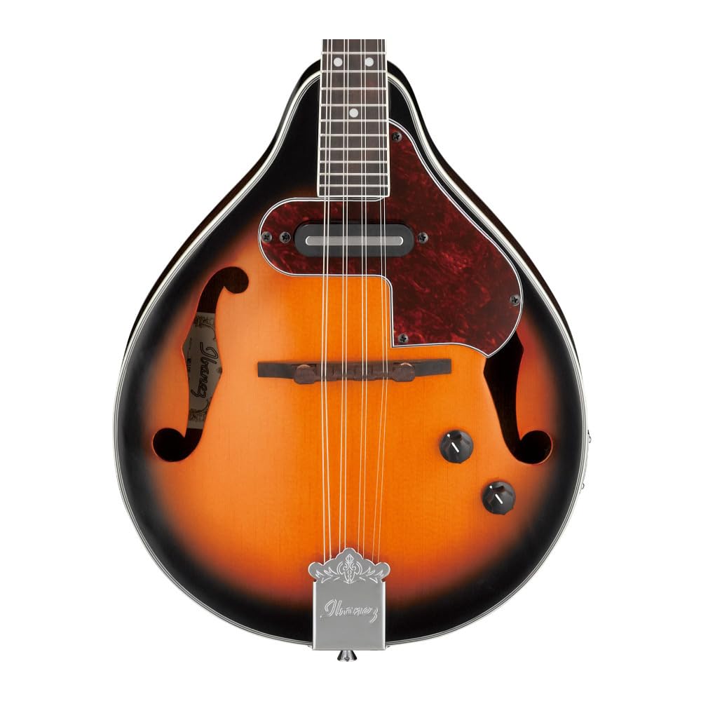 Acoustic-electric Mandolin H4019