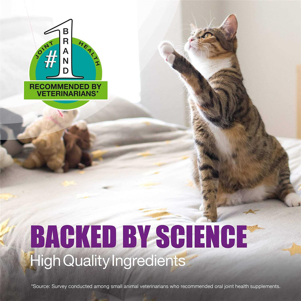 Joint Health Supplement for Cats O915295