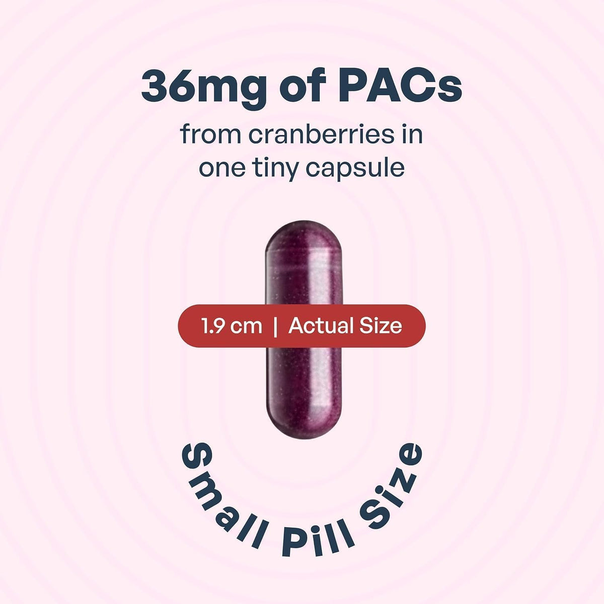 Cranberry PACs 36 mg 30 Capsules Q717818