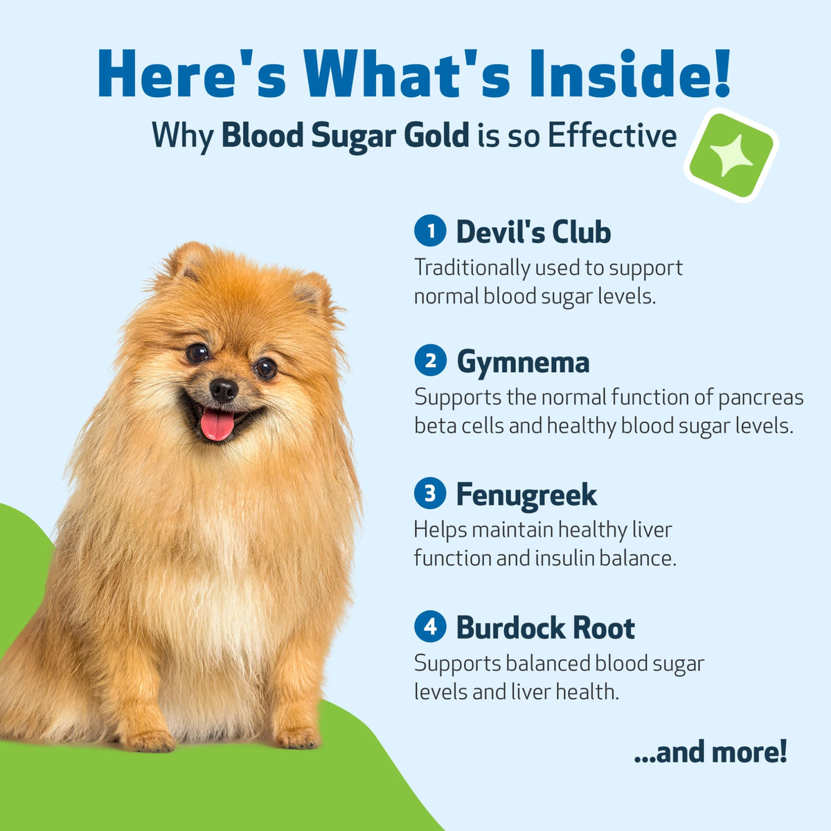 Blood Sugar Support for Dogs 2 oz P51272