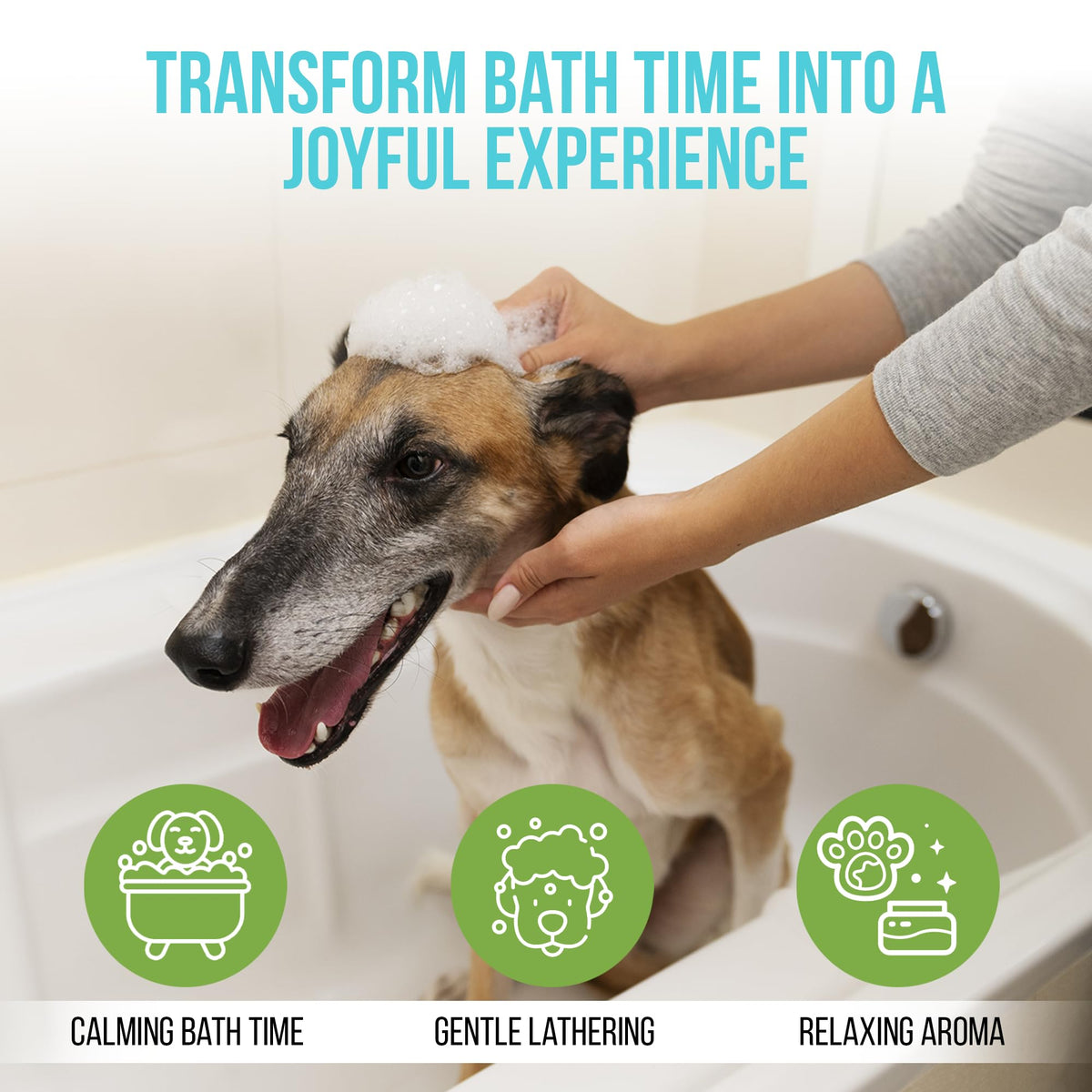 Hypoallergenic Dog Shampoo with Aloe & Oatmeal 16.9 oz H808180