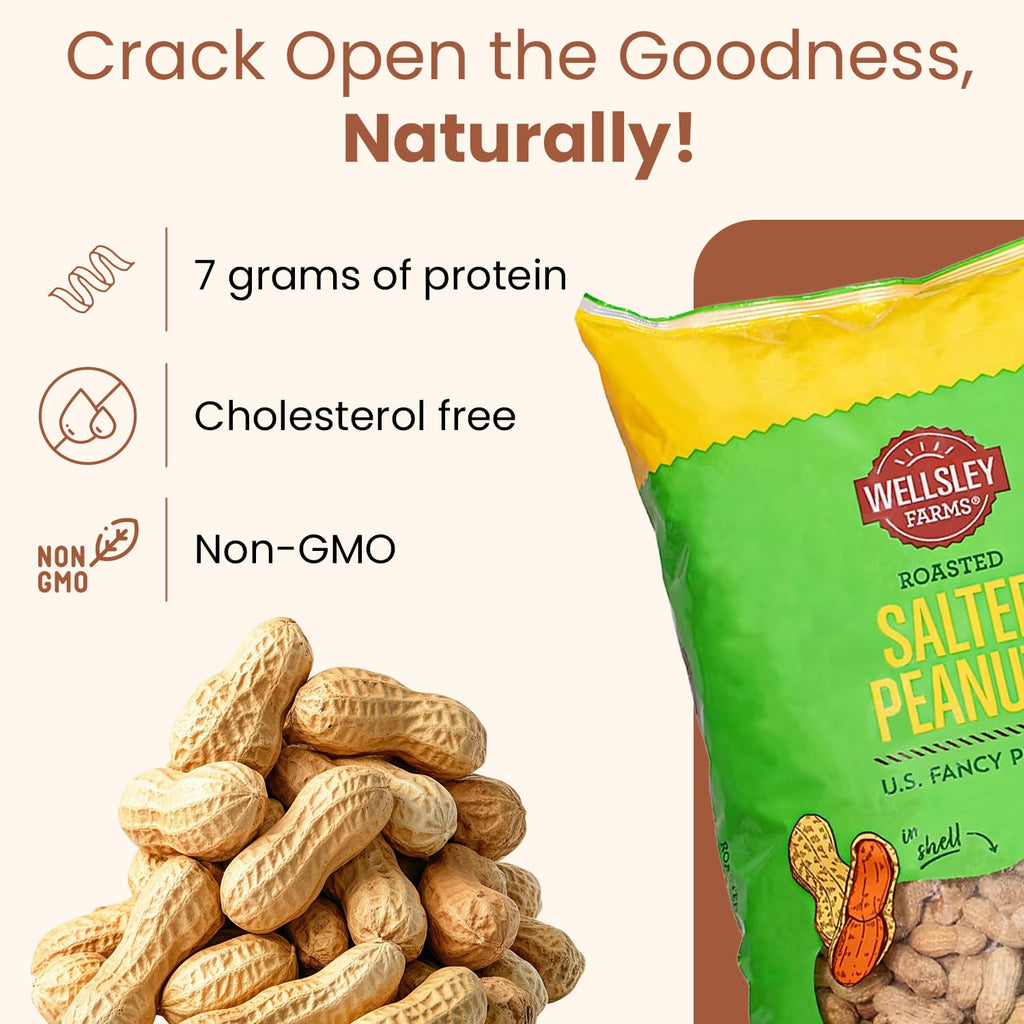 Salted Roasted Peanuts In Shell 5 lb Bag G207218