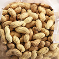 10 LB Unroasted Peanuts in the Shell W931