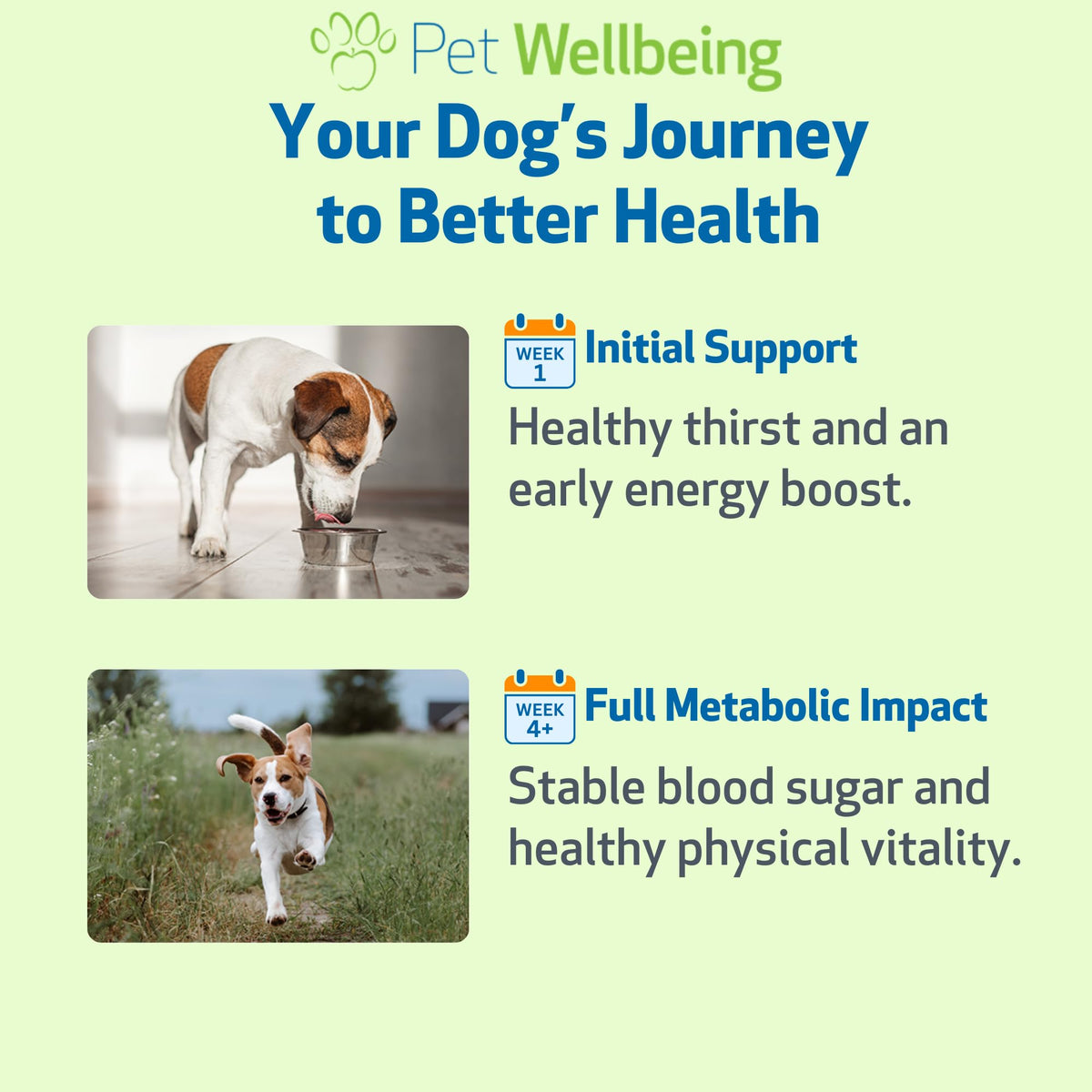 Blood Sugar Support for Dogs 2 oz P51272