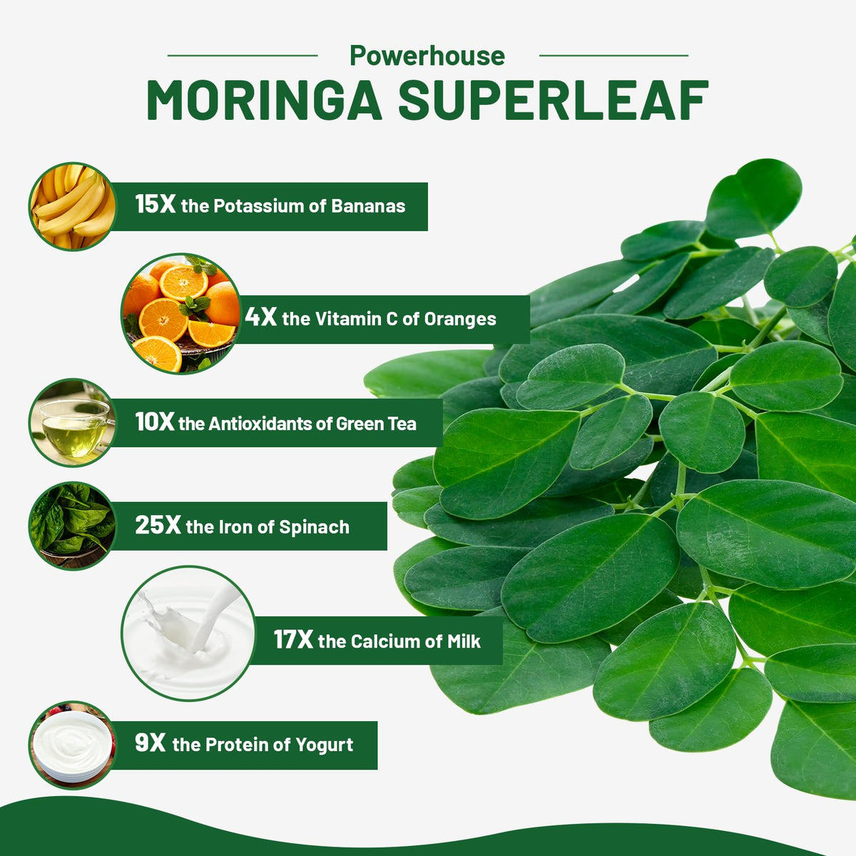 120 Moringa Capsules F93299