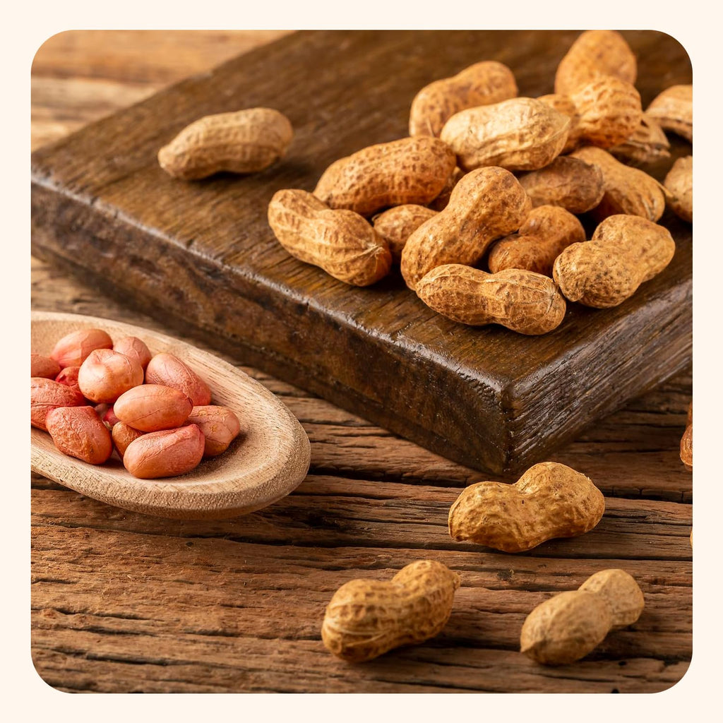 Salted Roasted Peanuts In Shell 5 lb Bag G207218
