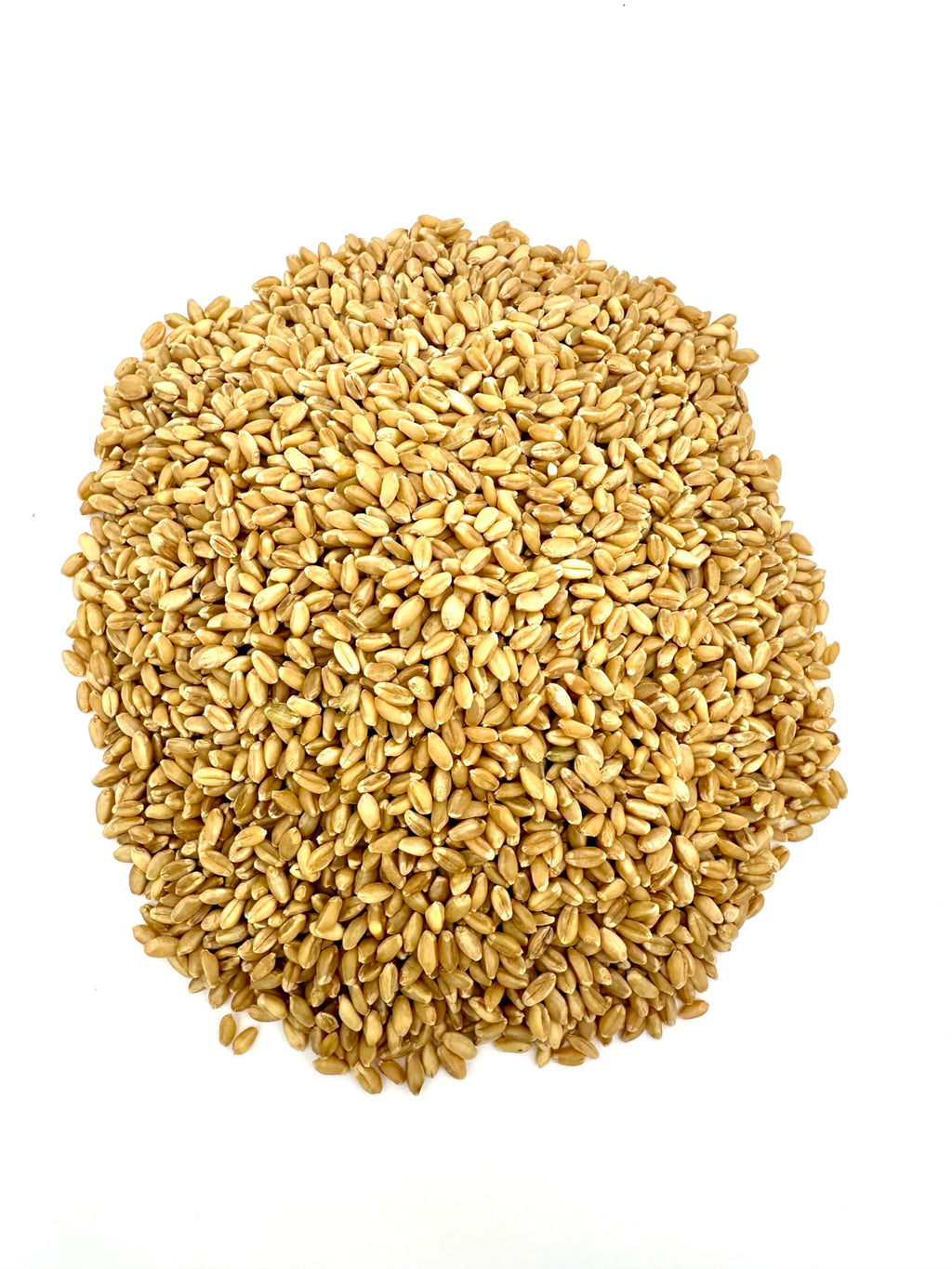 Organic White Wheat Berries 20lb H88493