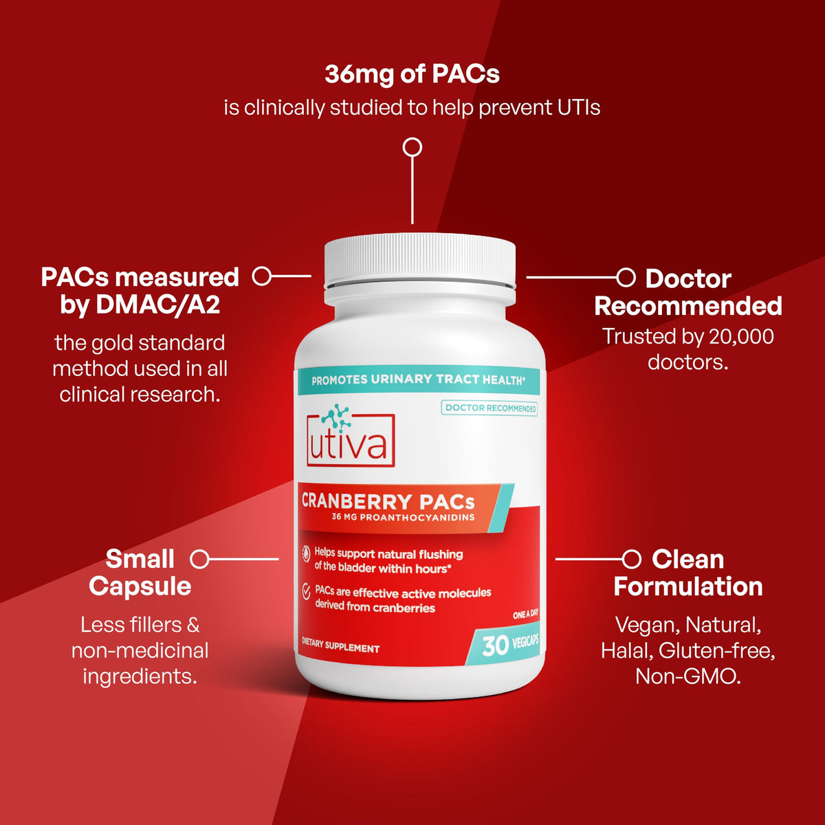 Cranberry PACs 36 mg 30 Capsules Q717818