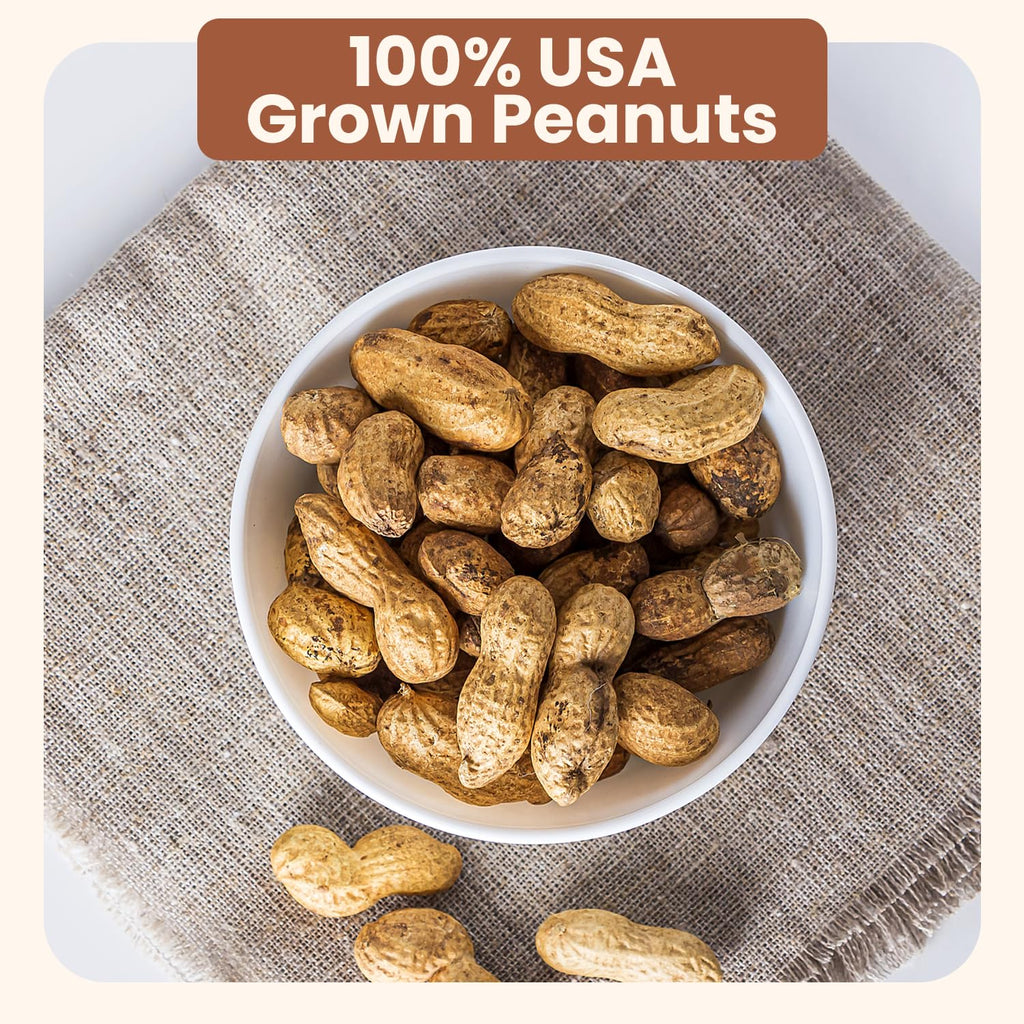 Salted Roasted Peanuts In Shell 5 lb Bag G207218