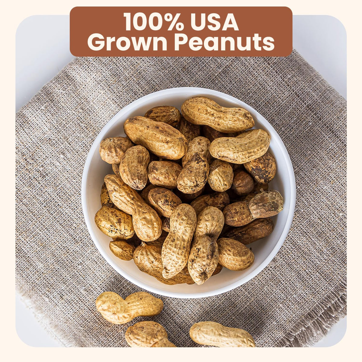 Salted Roasted Peanuts In Shell 5 lb Bag G207218