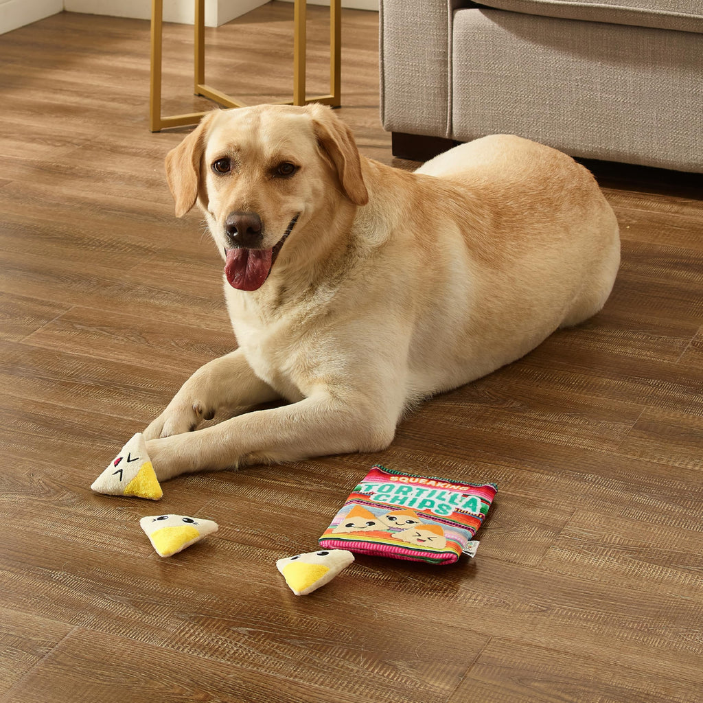Tortilla Chips Puzzle Squeaky Dog Toys M732