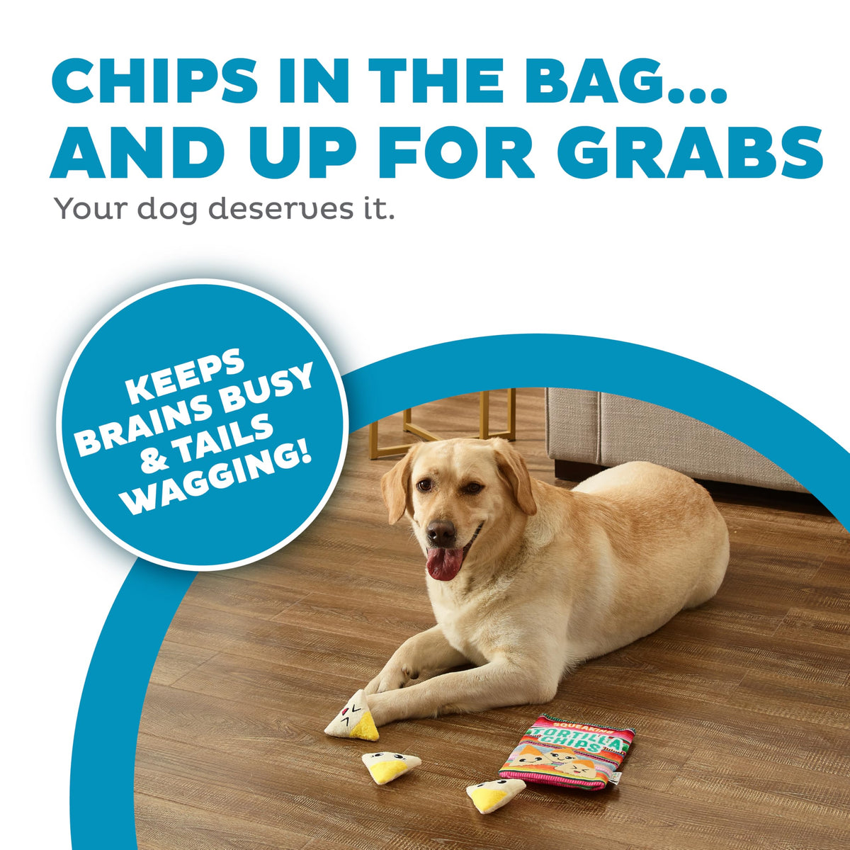 Tortilla Chips Puzzle Squeaky Dog Toys M732